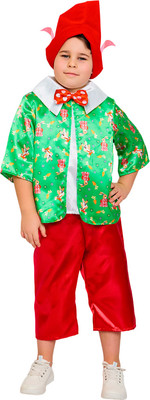 

Костюм карнавальный, Гном Вася / 2191 к-24