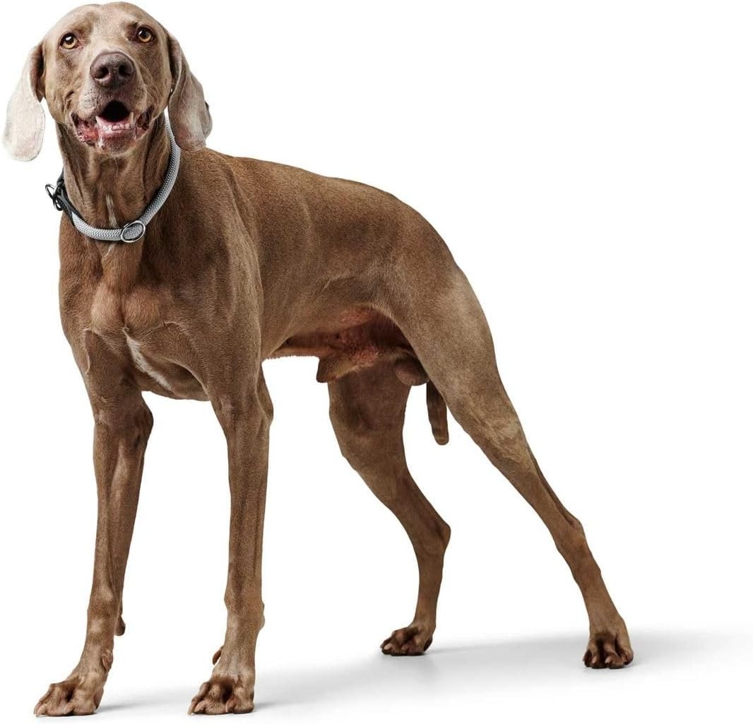 Ошейник-полуудавка HUNTER T-Collar Freestyle Eiby 50/M-L / 68706 (серый) — фото 3