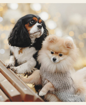 Тетрадь Listoff Пушистые друзья / ТК968386 -