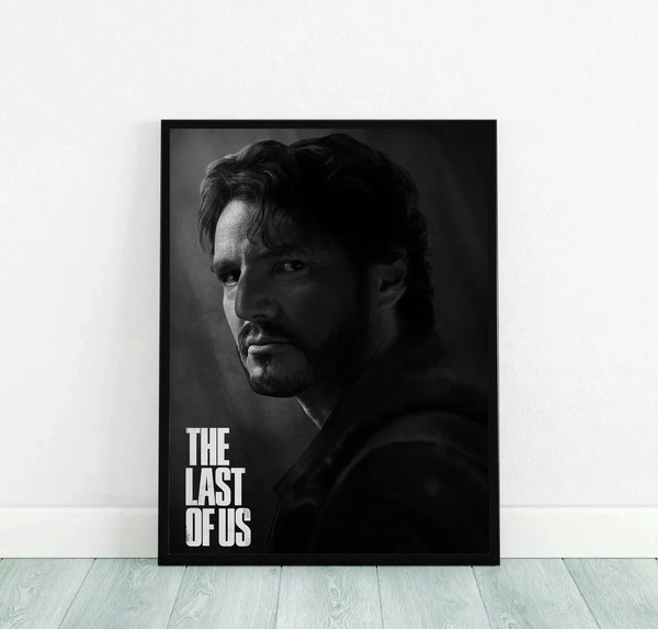 Постер Citydecor The Last Of Us 6 (30x40)