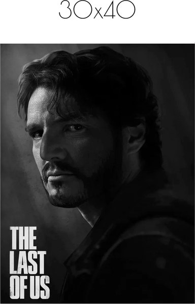 Постер Citydecor The Last Of Us 6 (30x40)
