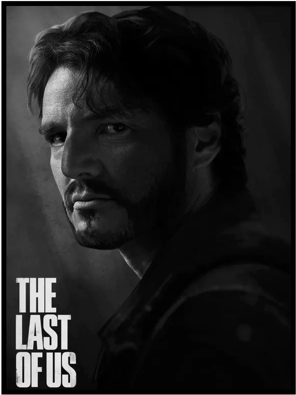 Постер Citydecor The Last Of Us 6 (30x40)