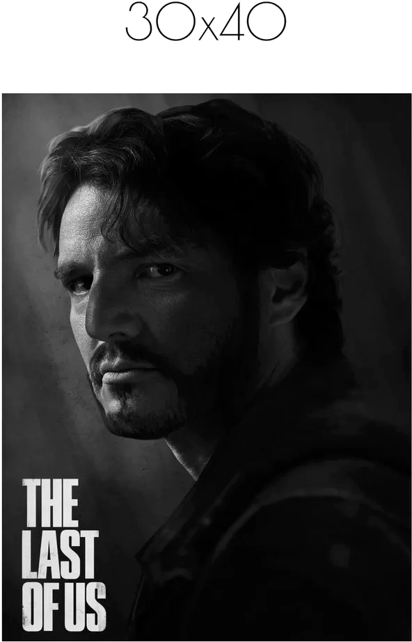 Постер Citydecor The Last Of Us 6 (30x40) — фото 2