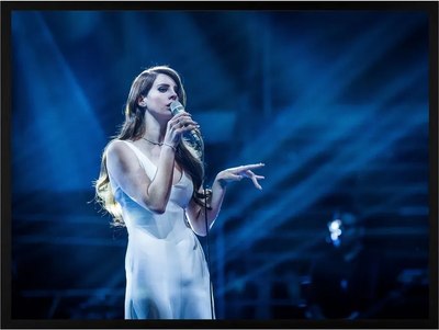 

Постер, Lana Del Rey 2