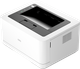 Принтер Deli P2000DNWs  - 
