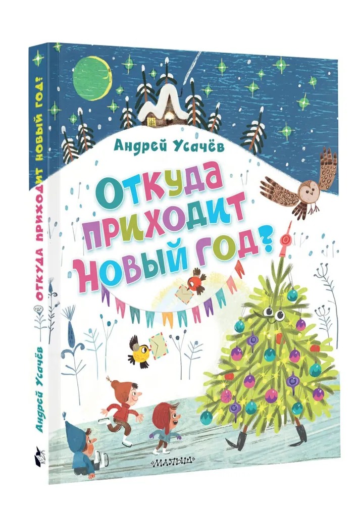 Художественная книга АСТ Откуда приходит Новый год? твердая обложка (Усачев Андрей) — фото 1