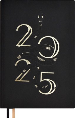 

Ежедневник, Илон Маск. Кассандра 2025 / 67003