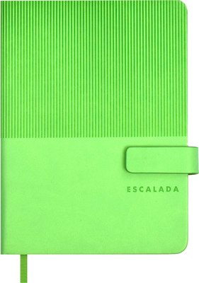 Ежедневник Escalada Виннер / 67270 (120л, салатовый) -