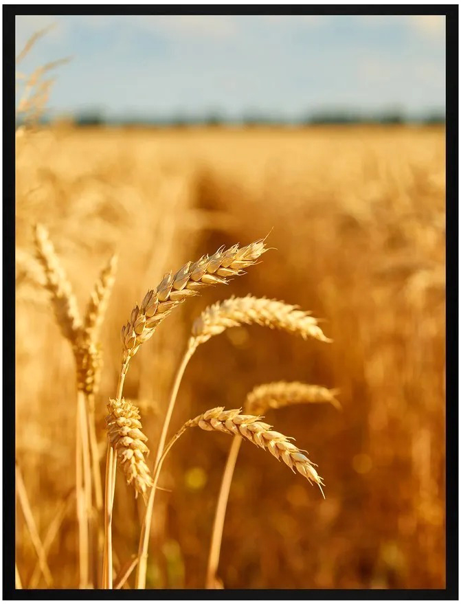 Постер Citydecor Природа 7 (30x40)