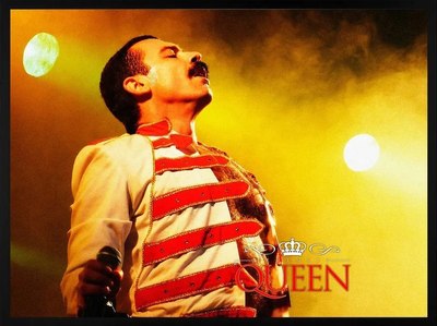 

Постер, Freddie Mercury 2