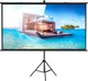 Проекционный экран Future Vision Tripod Cinema 240 / T240HMW (240x135) - 