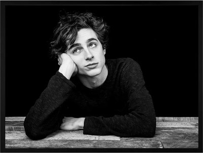 

Постер, Timothee Chalamet 1