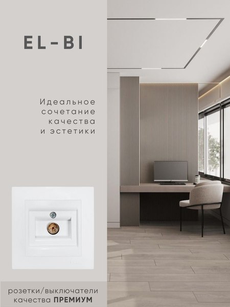 Розетка El-Bi Zena-Vega / 609-016200-246 (матовый белый)