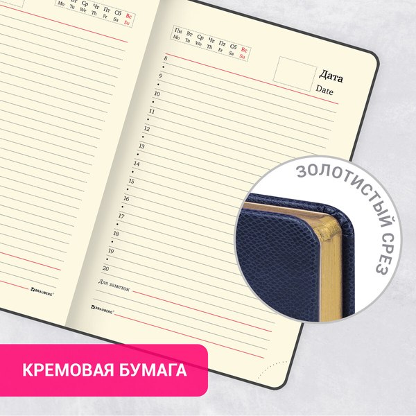 Ежедневник Brauberg Iguana / 114467 (160л, синий)