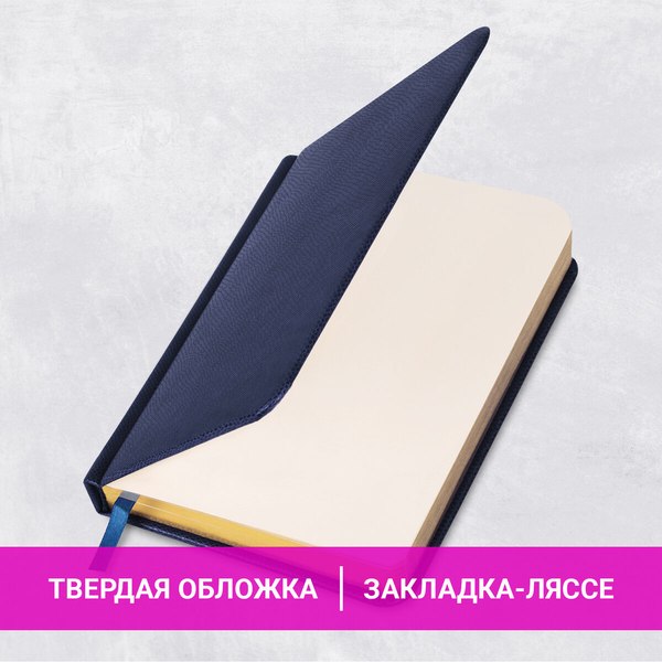 Ежедневник Brauberg Iguana / 114467 (160л, синий)