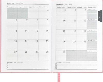 Ежедневник Escalada Илон Маск. Плонже-эконом 2025 / 67035 (176л, розовый)