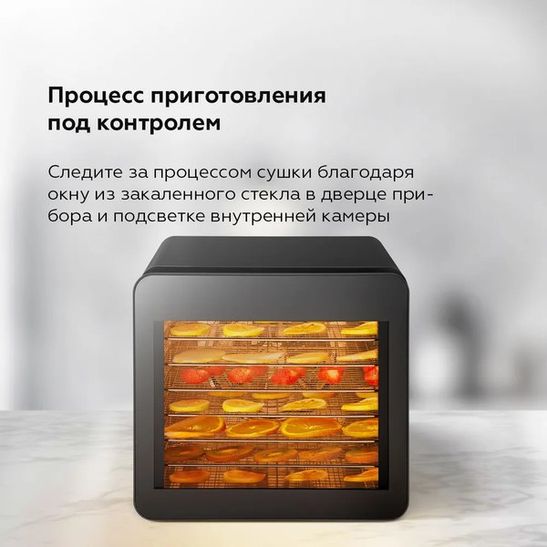 Сушильный шкаф для овощей и фруктов BQ FD1006 (черный)