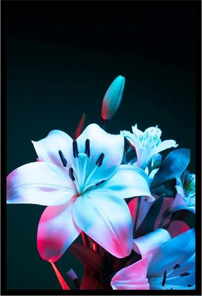 Постер Citydecor Цветы 10 (40x60)
