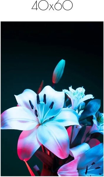 Постер Citydecor Цветы 10 (40x60)