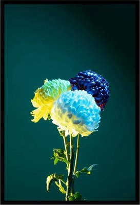 Постер Citydecor Цветы 11 (40x60) - 