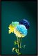 Постер Citydecor Цветы 11 (40x60) - 