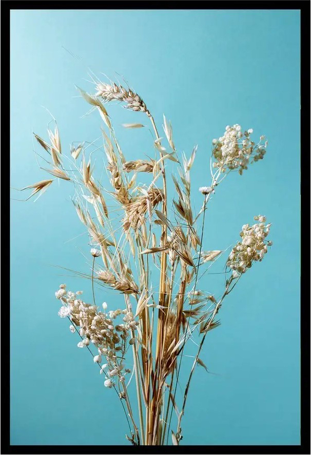 Постер Citydecor Цветы 14 (40x60)