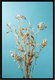 Постер Citydecor Цветы 14 (40x60) - 