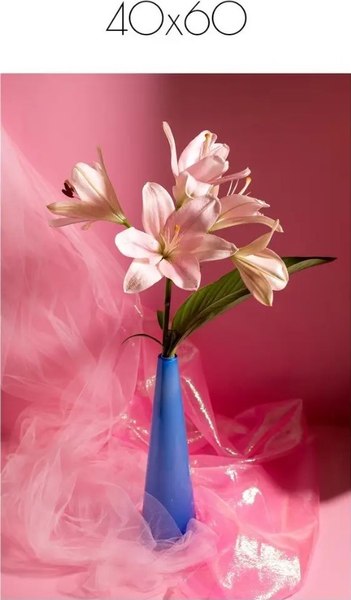 Постер Citydecor Цветы 2 (40x60)