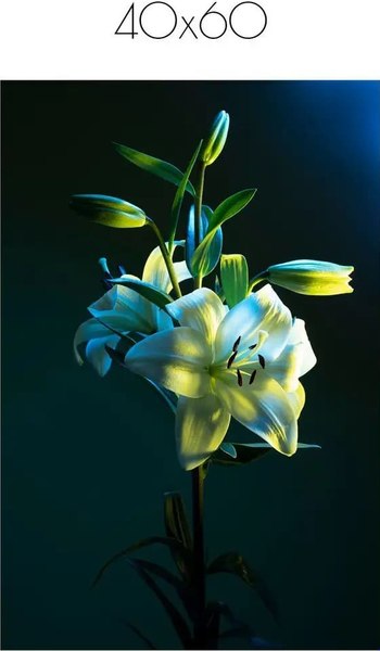 Постер Citydecor Цветы 6 (40x60)