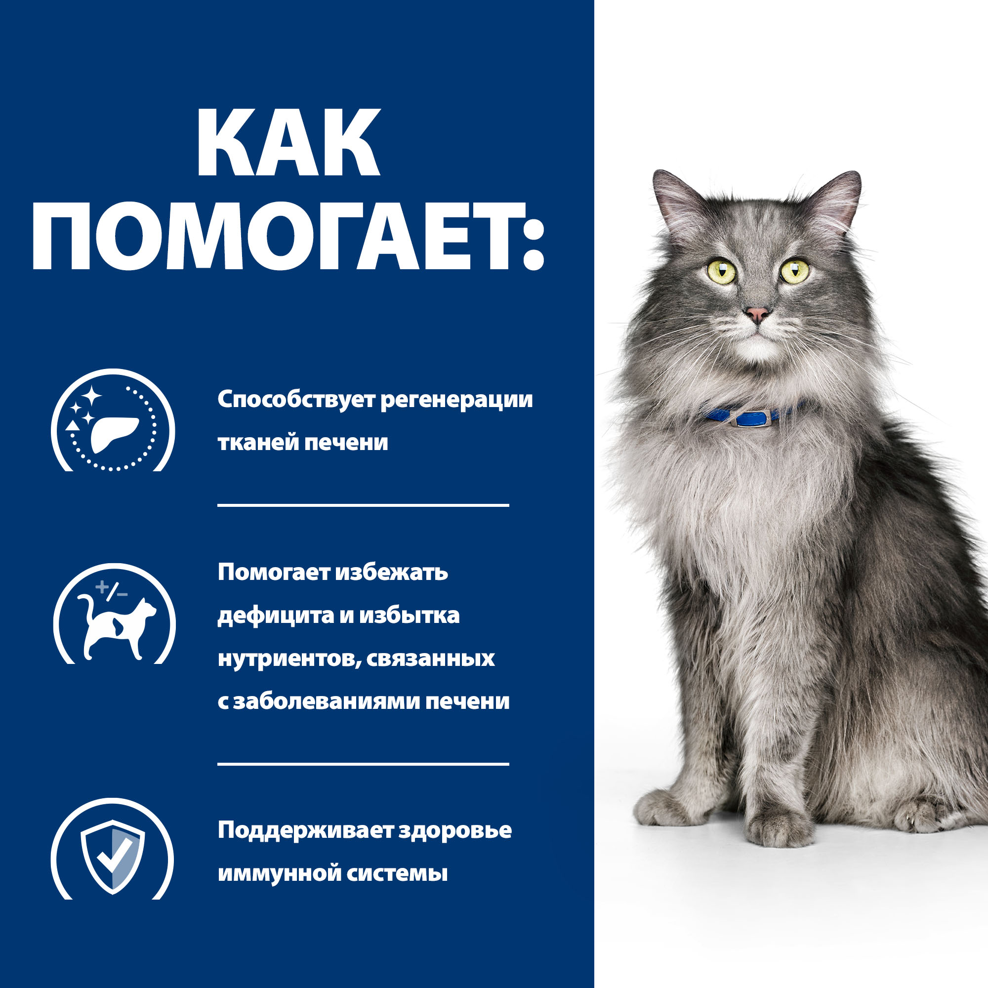 Сухой ветеринарный корм для кошек Hill's Prescription Diet Liver Care Chicken (1.5кг) — фото 6
