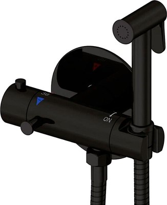 Гигиенический душ со смесителем Rose R915H (черный) - 