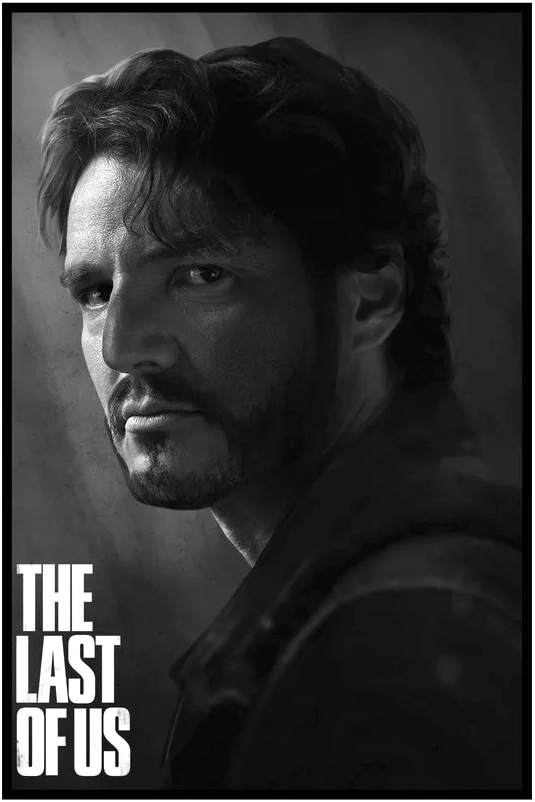 Постер Citydecor The Last Of Us 6 (40x60)