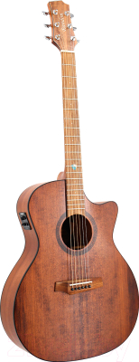 Акустическая гитара Randon RGI-14 VT-CE