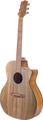 Акустическая гитара Randon RGI-M4 CE