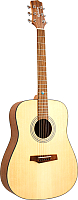 Акустическая гитара Randon RGI-01 CE - 