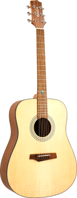 Акустическая гитара Randon RGI-01