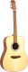 Акустическая гитара Randon RGI-01 - 