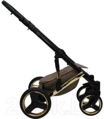 Детская универсальная коляска Ray Ultra Gold 2 в 1 (3/графитовая кожа)