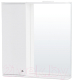 Шкаф с зеркалом для ванной СанитаМебель Камелия-11.70 Д2 (левый, белый) - 