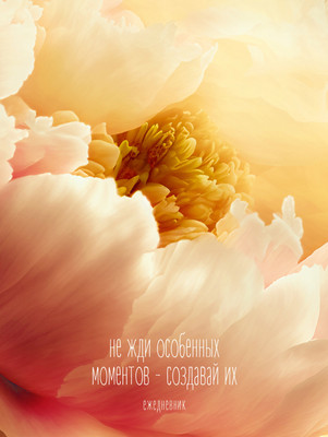 

Ежедневник, Создавай моменты / ЕЖИ25612803