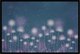 Постер Citydecor Невесомость 3 (40x60) - 