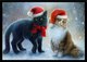 Постер Citydecor New Year 9 (40x60) - 