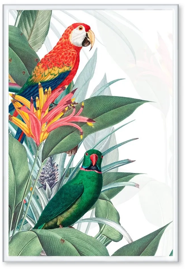 Постер Citydecor Попугайчики 8 (40x60)