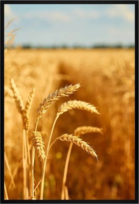 

Постер, Природа 7