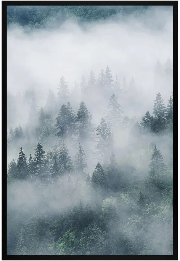 Постер Citydecor Природа 8 (40x60)