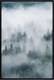 Постер Citydecor Природа 8 (40x60) - 