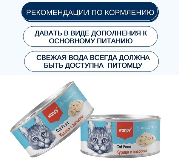 Влажный корм для кошек Wanpy Cat Курица с лососем (95г)