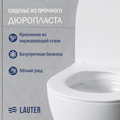 Унитаз подвесной с инсталляцией Lauter Sulzdorf + GROHE Rapid SL 38721001 (белый с микролифтом)