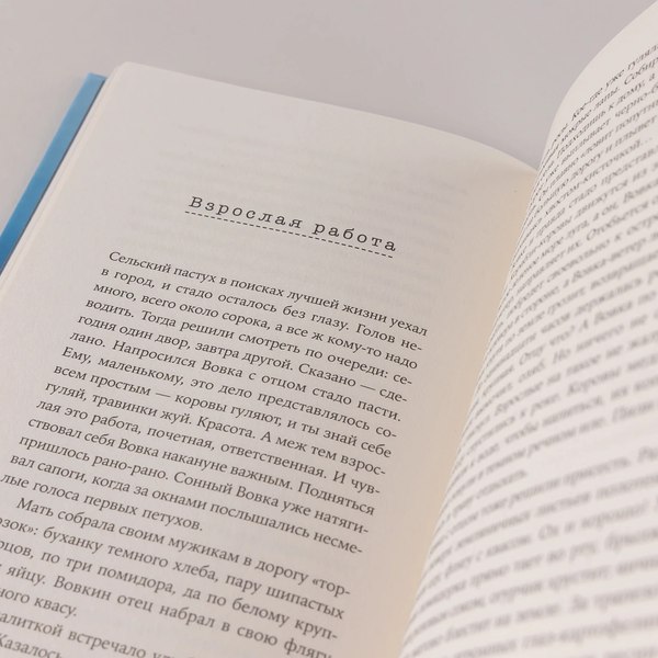 Книга Альпина Чужая сторона / 9785002233977 (Харитонова Ольга)