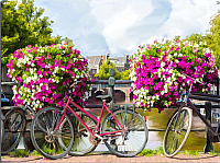 Картина Orlix Велосипеды / CA-01314 - 